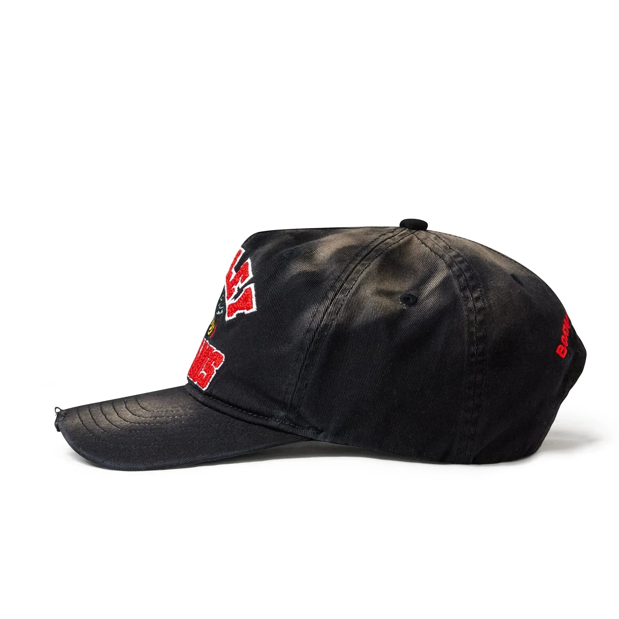 Wrecked Anthem Cap (B)